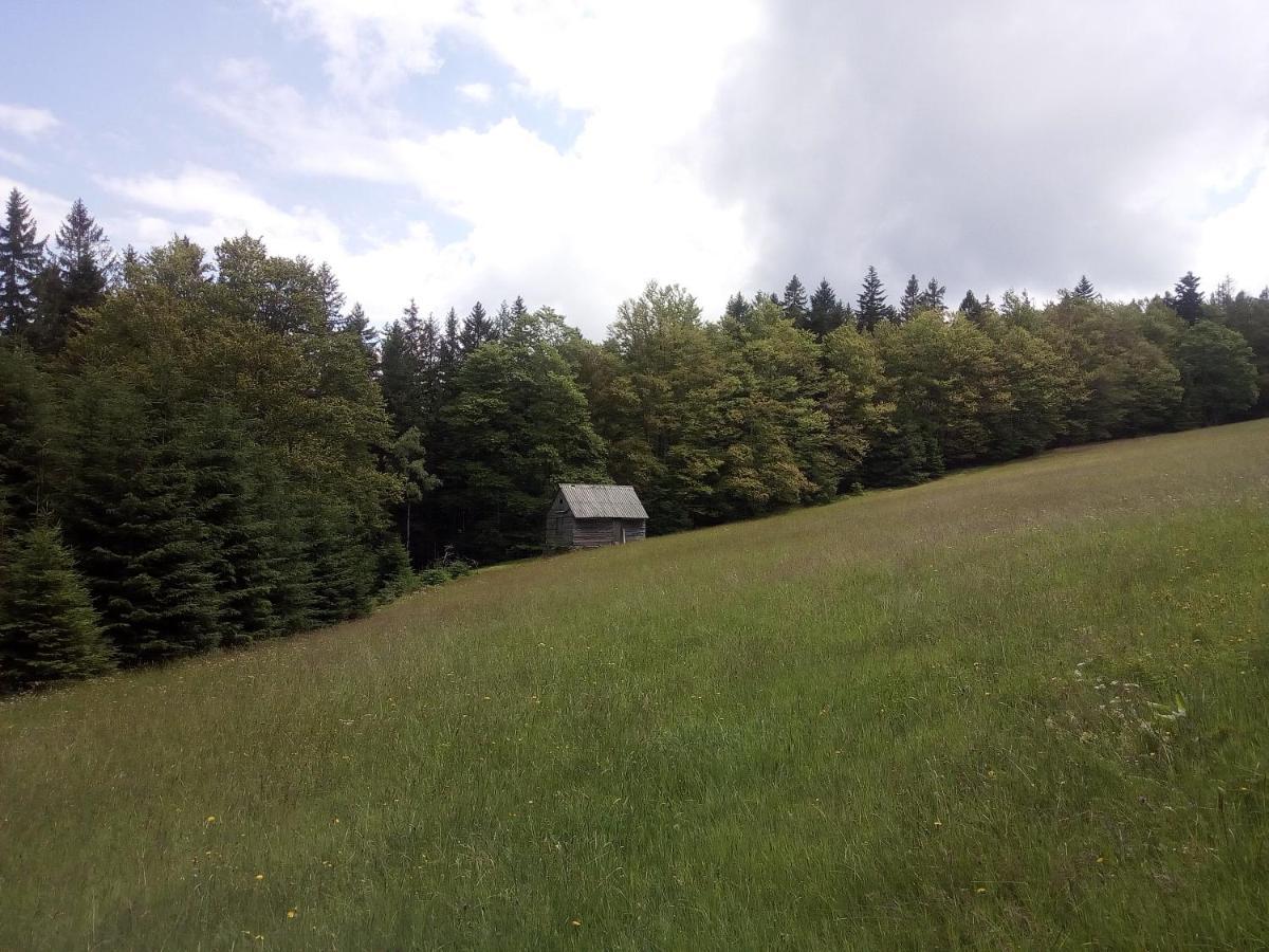 Železná RudaAlm-House Hollmann公寓 外观 照片