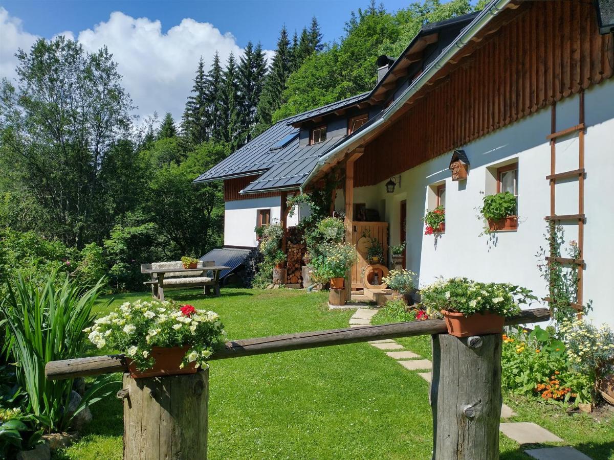 Železná RudaAlm-House Hollmann公寓 外观 照片