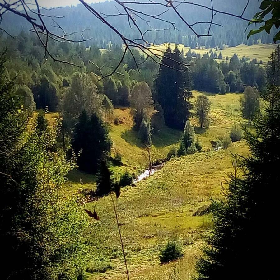 Železná RudaAlm-House Hollmann公寓 外观 照片