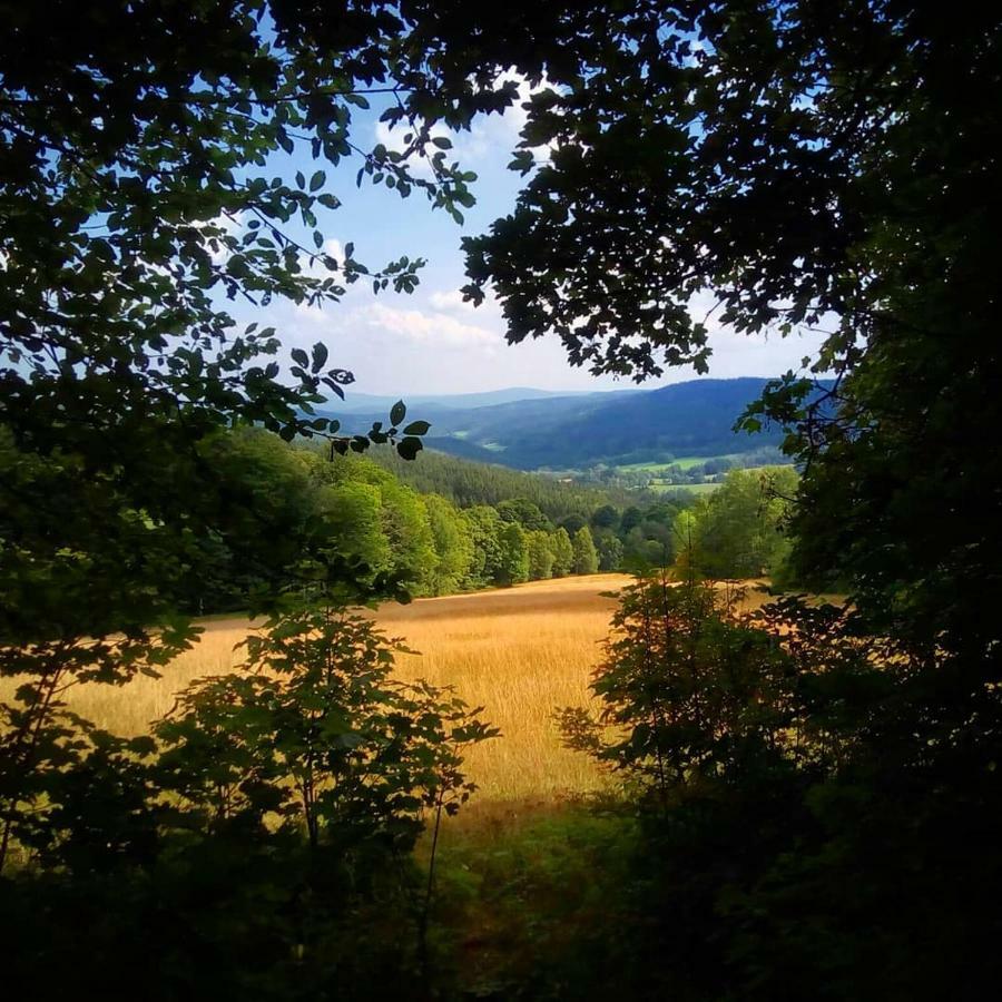 Železná RudaAlm-House Hollmann公寓 外观 照片